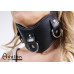 Avalon - CONQUER - Collar med god polstring, Svart 1