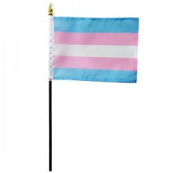 Pride flagg på pinne - Trans