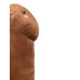 Penis Plushie - Penis Kosebamse - 60 cm - Brun 1